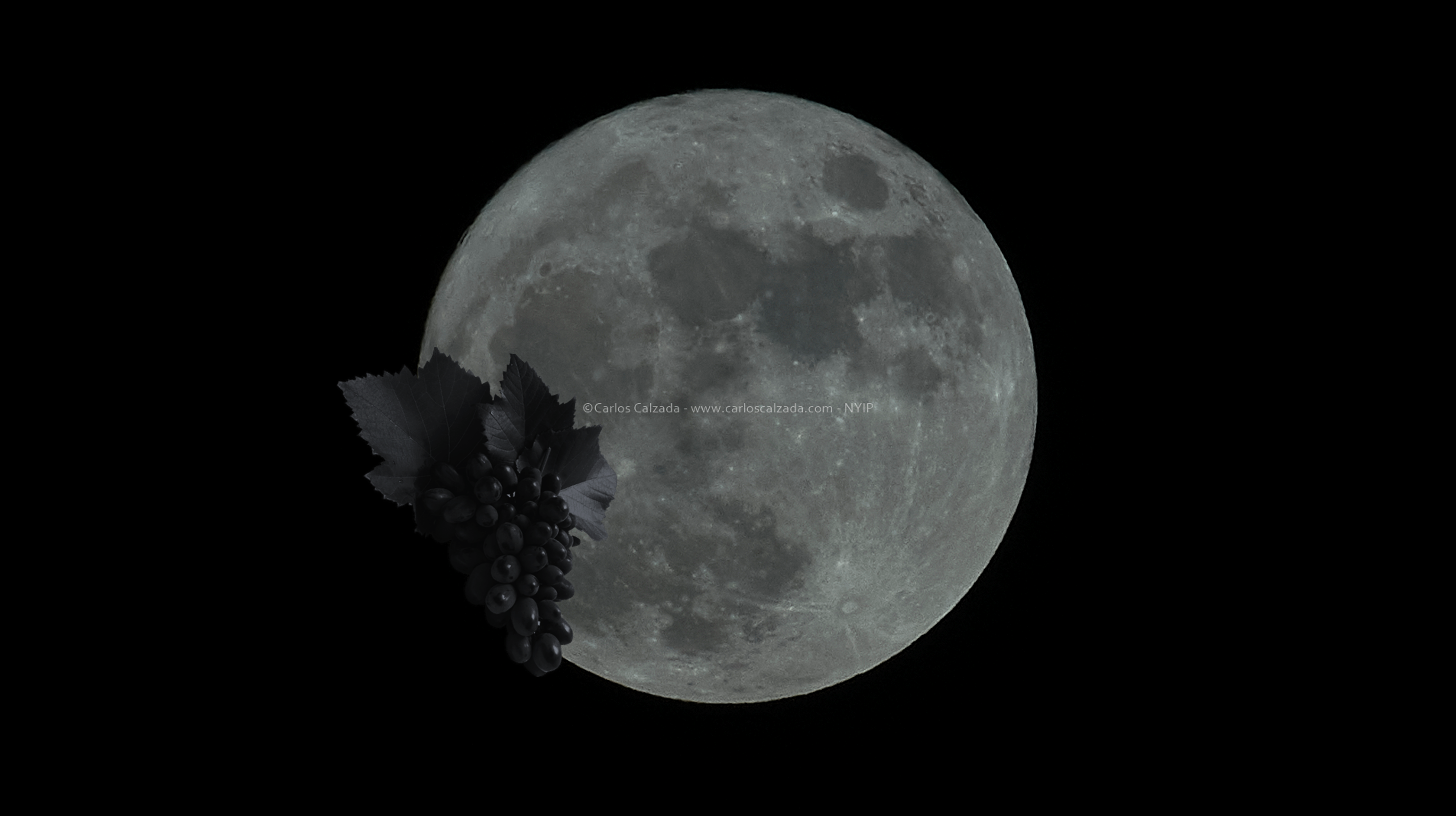 La parra queretana y la luna del Esturion.png